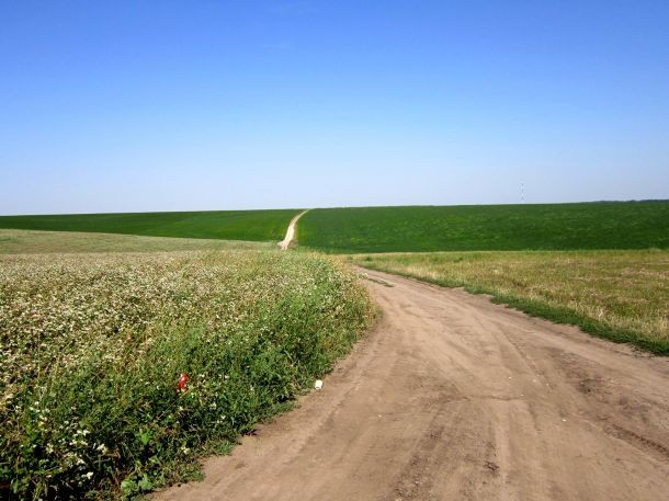 Path among fields