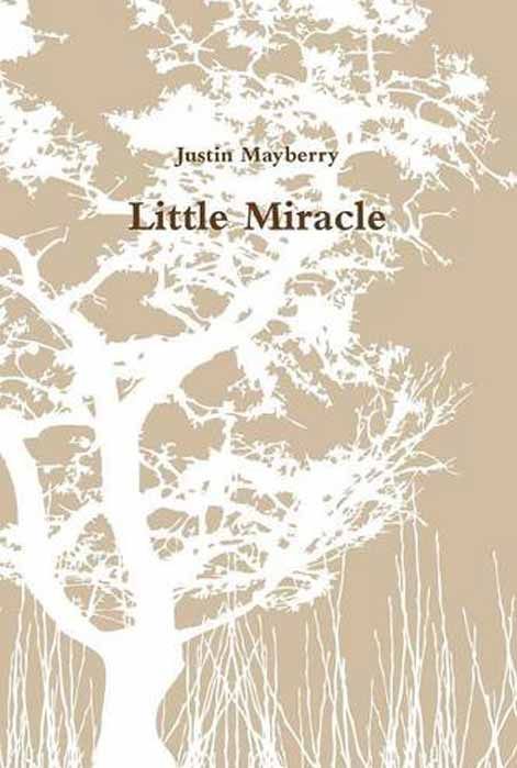 Little Miracle (cover)