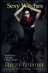 Sexy Witches: The Complete Series (cover)