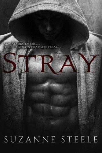 stray-1300x500-cover