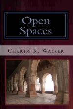 Open Spaces (The Vision Chronicles, Book 5) (cover)