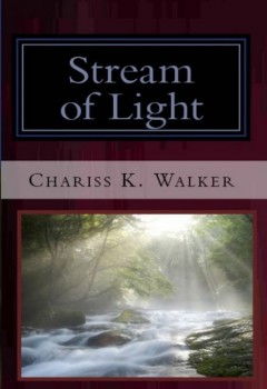 Stream of Light (The Vision Chronicles, Book 6) (cover)