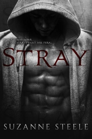Stray (cover)
