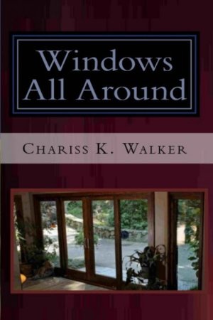 Windows All Around (The Vision Chronicles, Book 4) (cover)