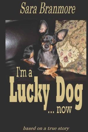 I&#039;m A Lucky Dog... Now (cover)