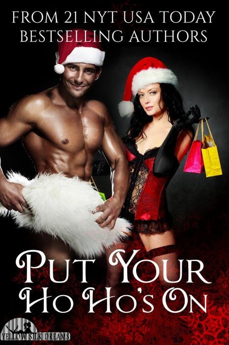 Put Your Ho Ho&#039;s On: 21 NYT, USA Today and International Award-Winning Bestselling Authors